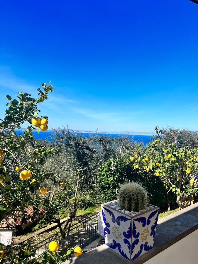 Villa Il Cacciatore Sorrento Exterior photo