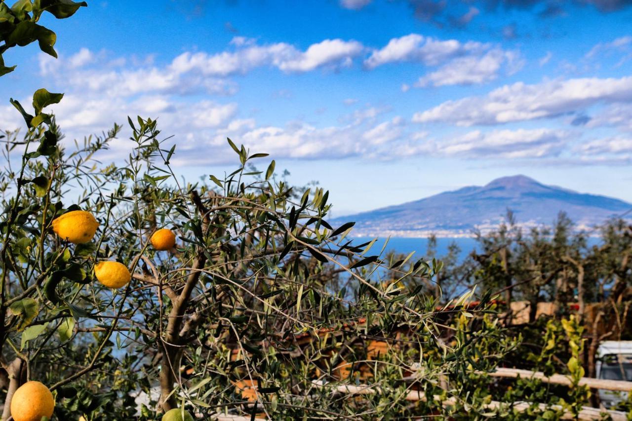 Villa Il Cacciatore Sorrento Exterior photo